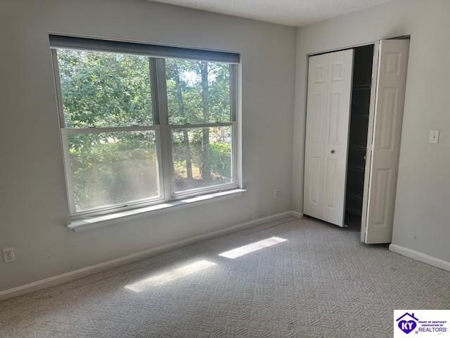 2612 Stonemill Drive Property Photo 36