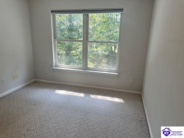 2612 Stonemill Drive Property Photo 38