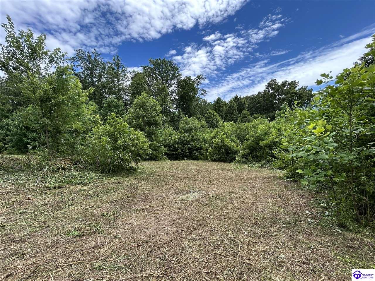 Lot 68 Beasley Boulevard #2
