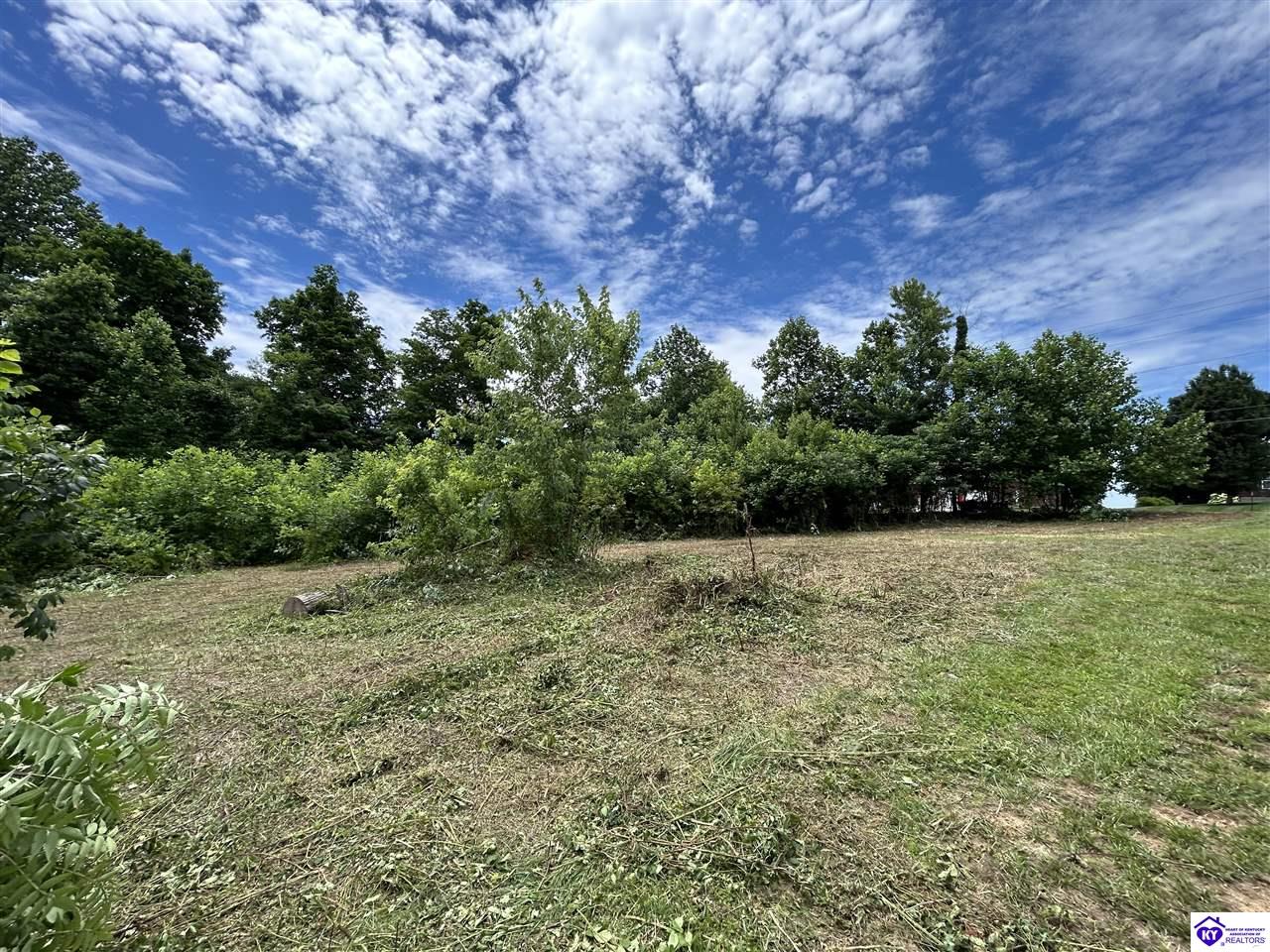Lot 68 Beasley Boulevard #2 Property Photo 2