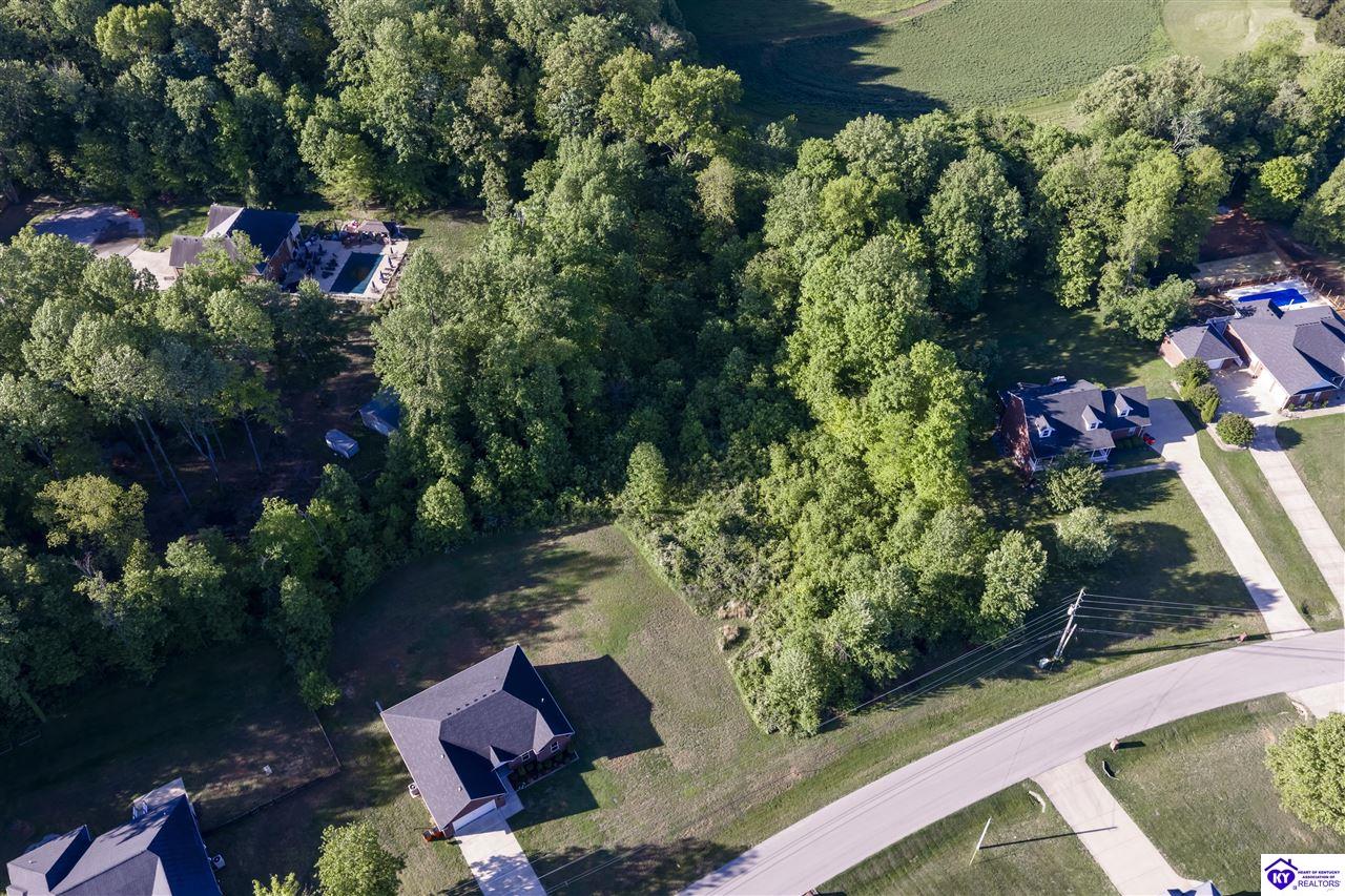 Lot 68 Beasley Boulevard #2 Property Photo 5