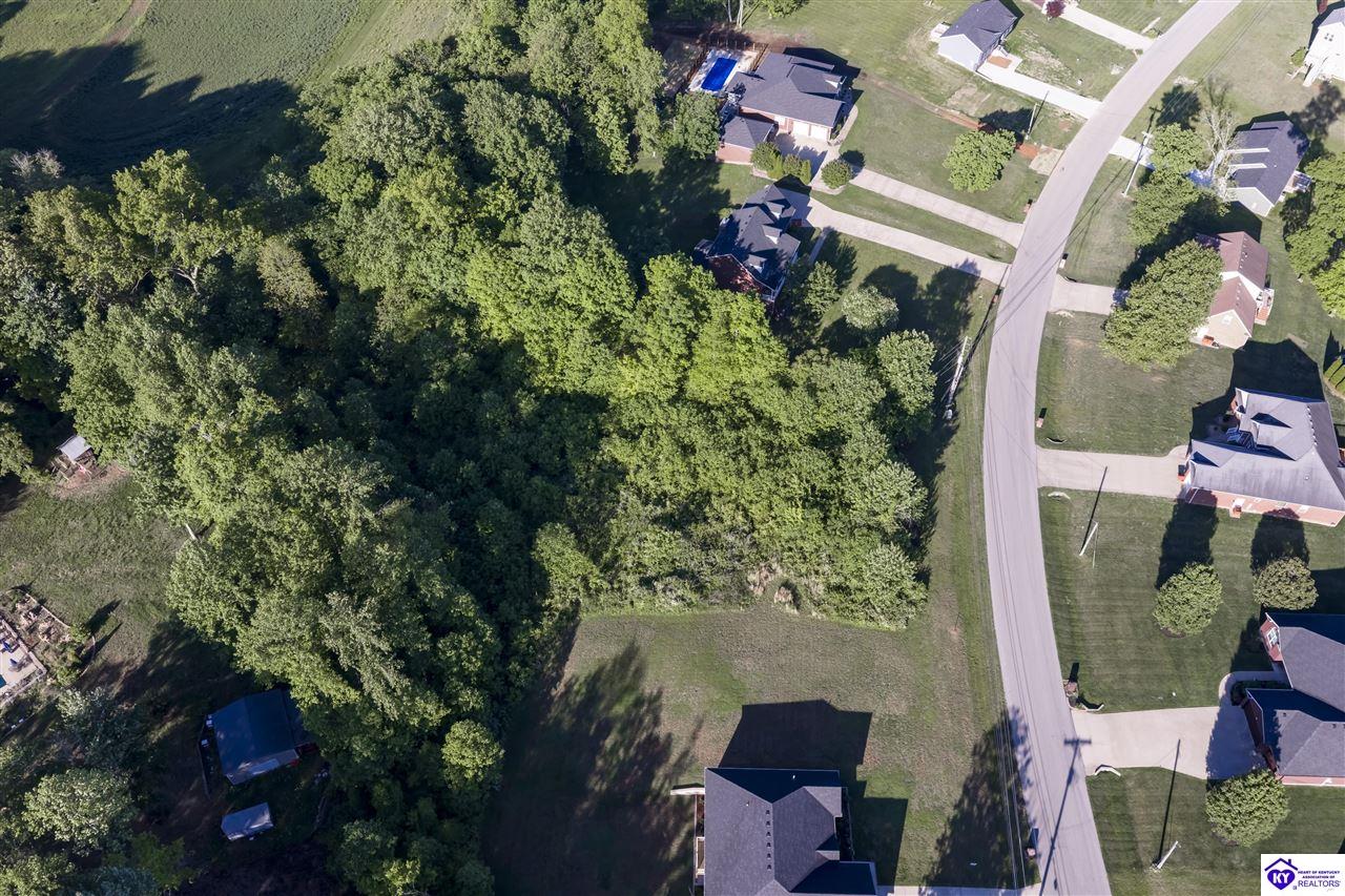 Lot 68 Beasley Boulevard #2 Property Photo 6