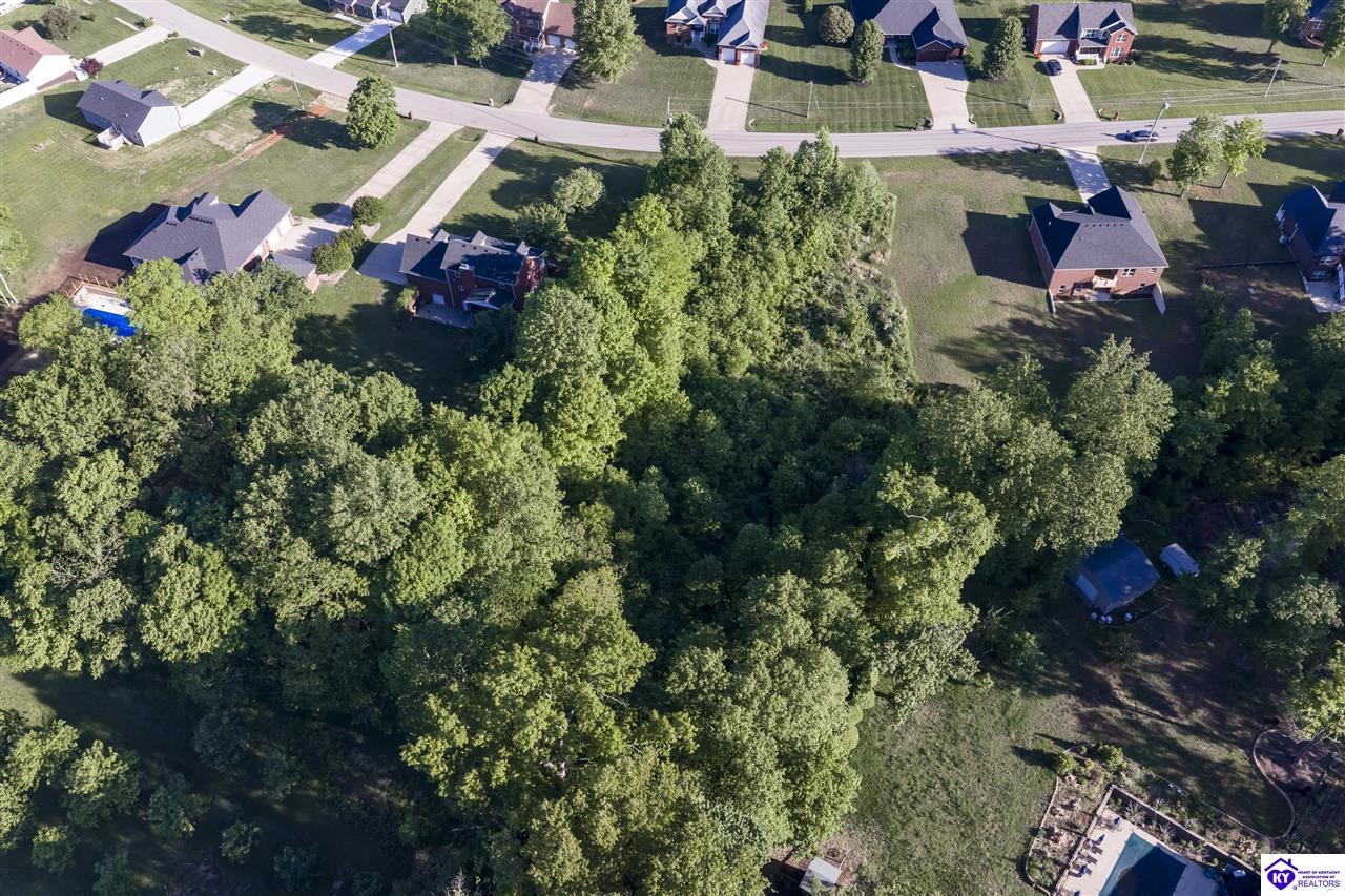 Lot 68 Beasley Boulevard #2 Property Photo 13