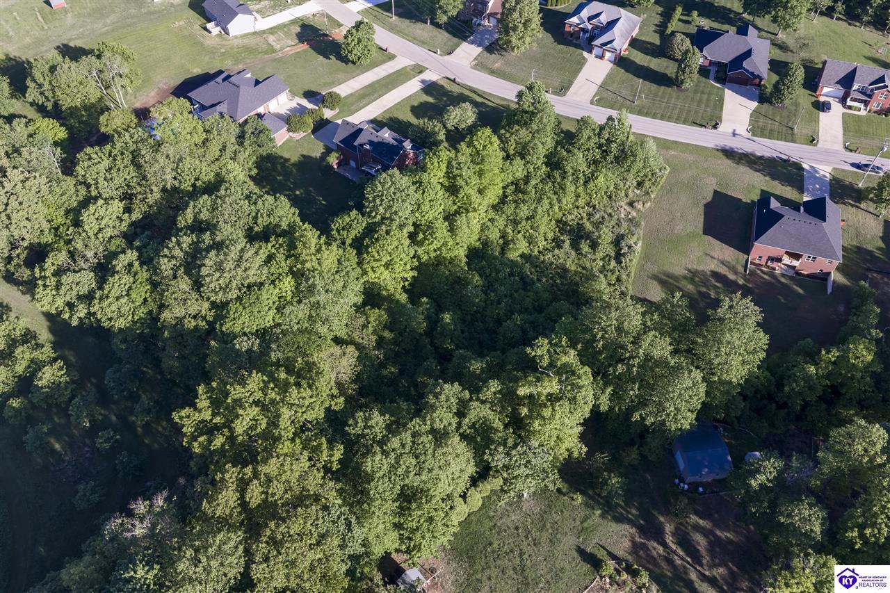 Lot 68 Beasley Boulevard #2 Property Photo 14