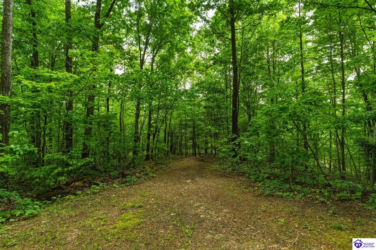 280 Oolite Road Property Photo 21