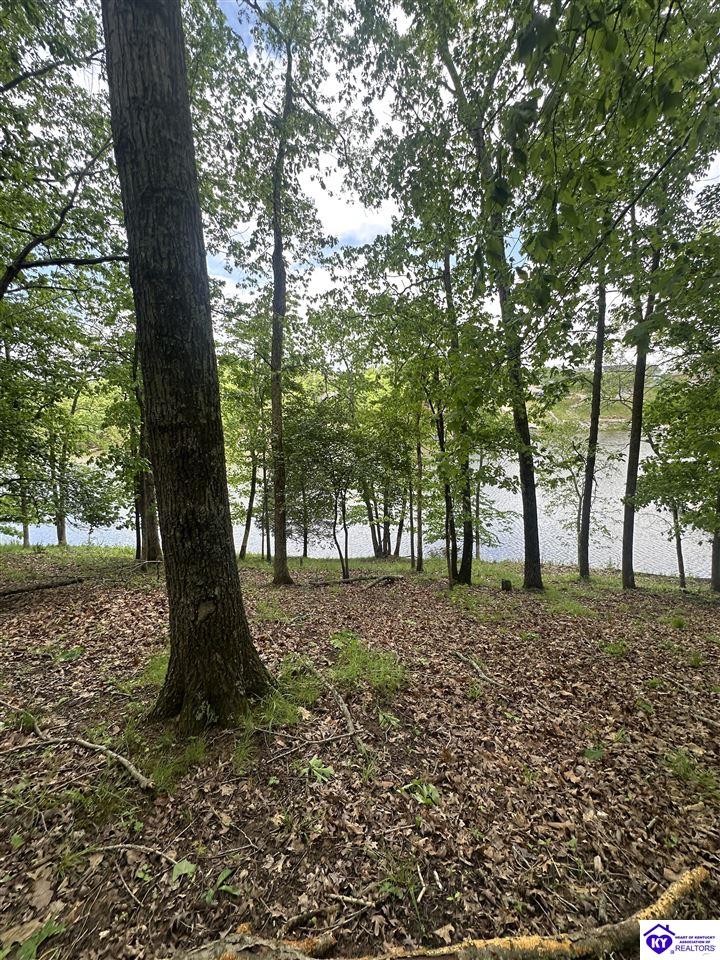 1 Lakeshore Parkway Property Photo 2