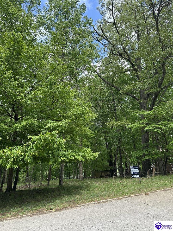1 Lakeshore Parkway Property Photo 3