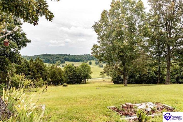 1020 Yates Chapel Road Property Photo 34