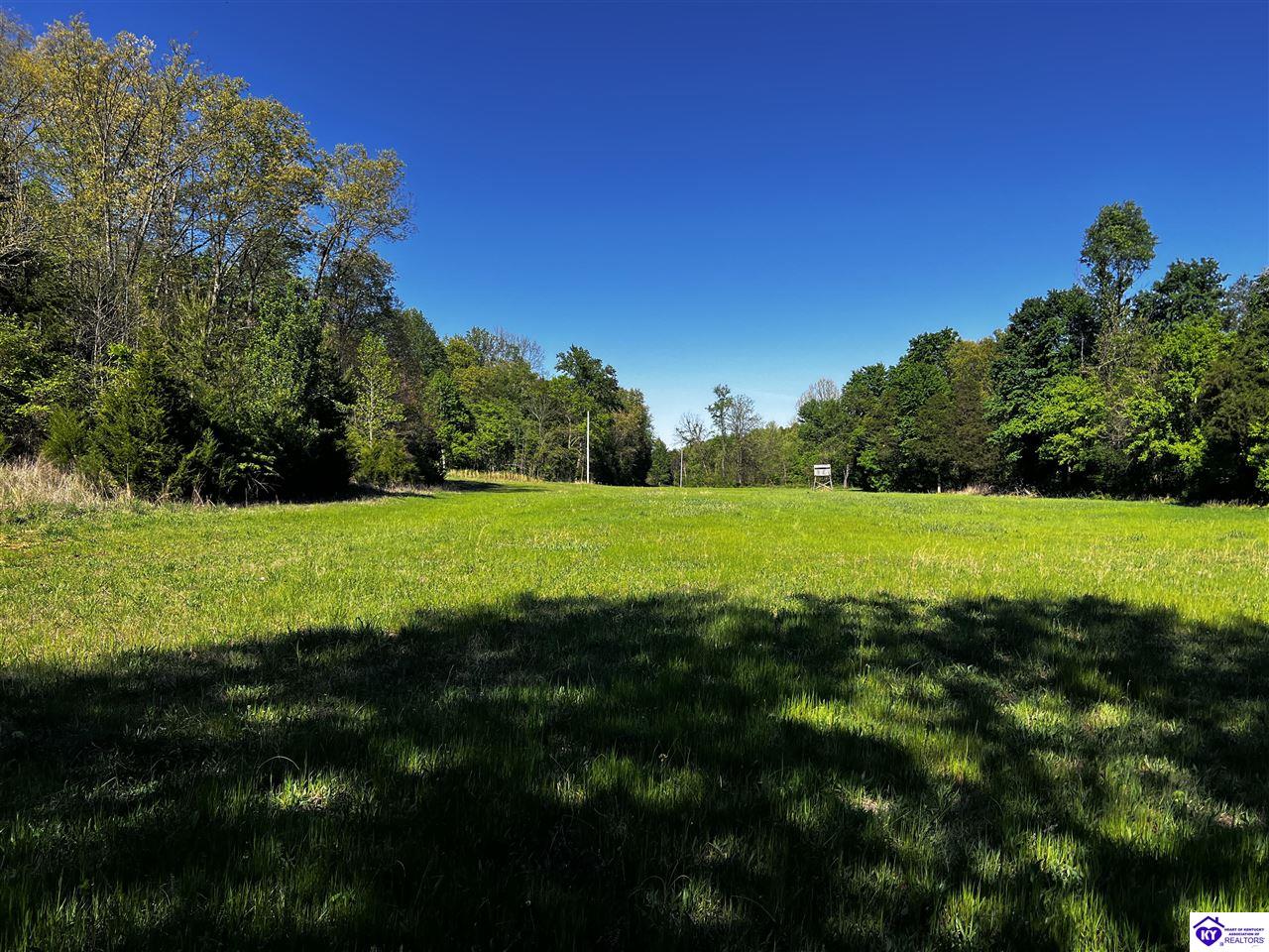 1000 Dawson Hollow N Rd Property Photo 3