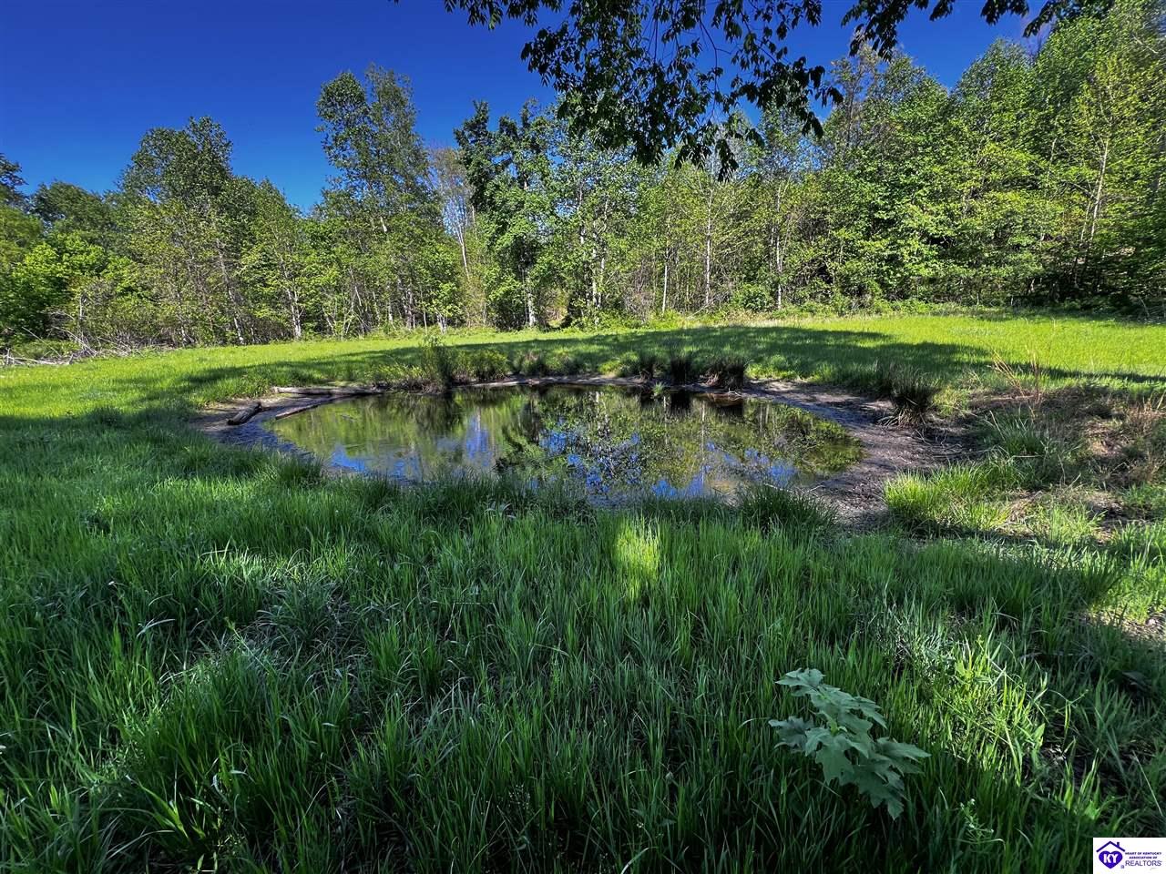 1000 Dawson Hollow N Rd Property Photo 4