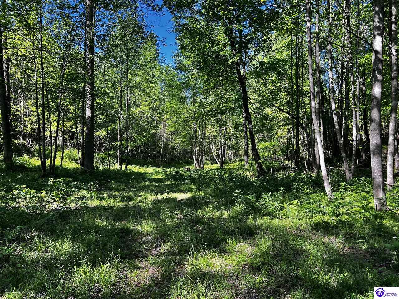 1000 Dawson Hollow N Rd Property Photo 5