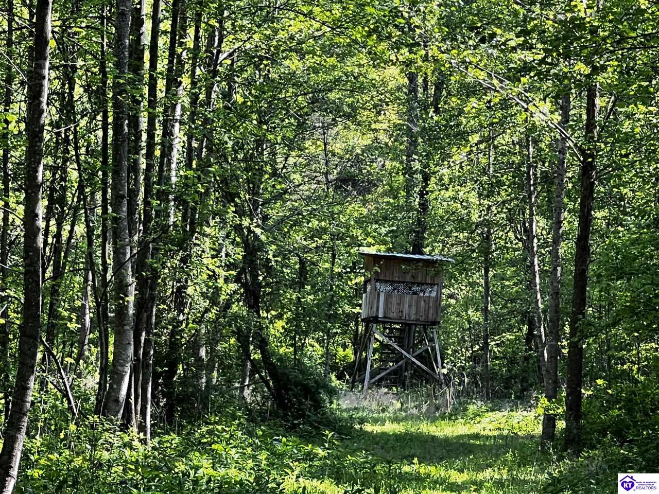 1000 Dawson Hollow N Rd Property Photo 6