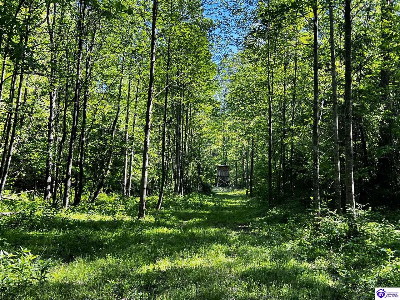 1000 Dawson Hollow N Rd Property Photo 7