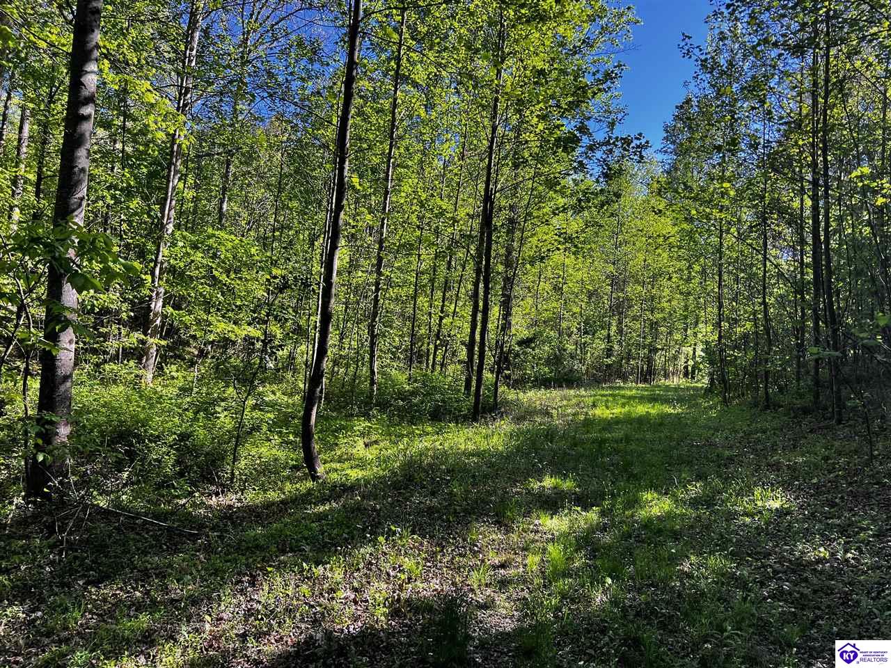 1000 Dawson Hollow N Rd Property Photo 8