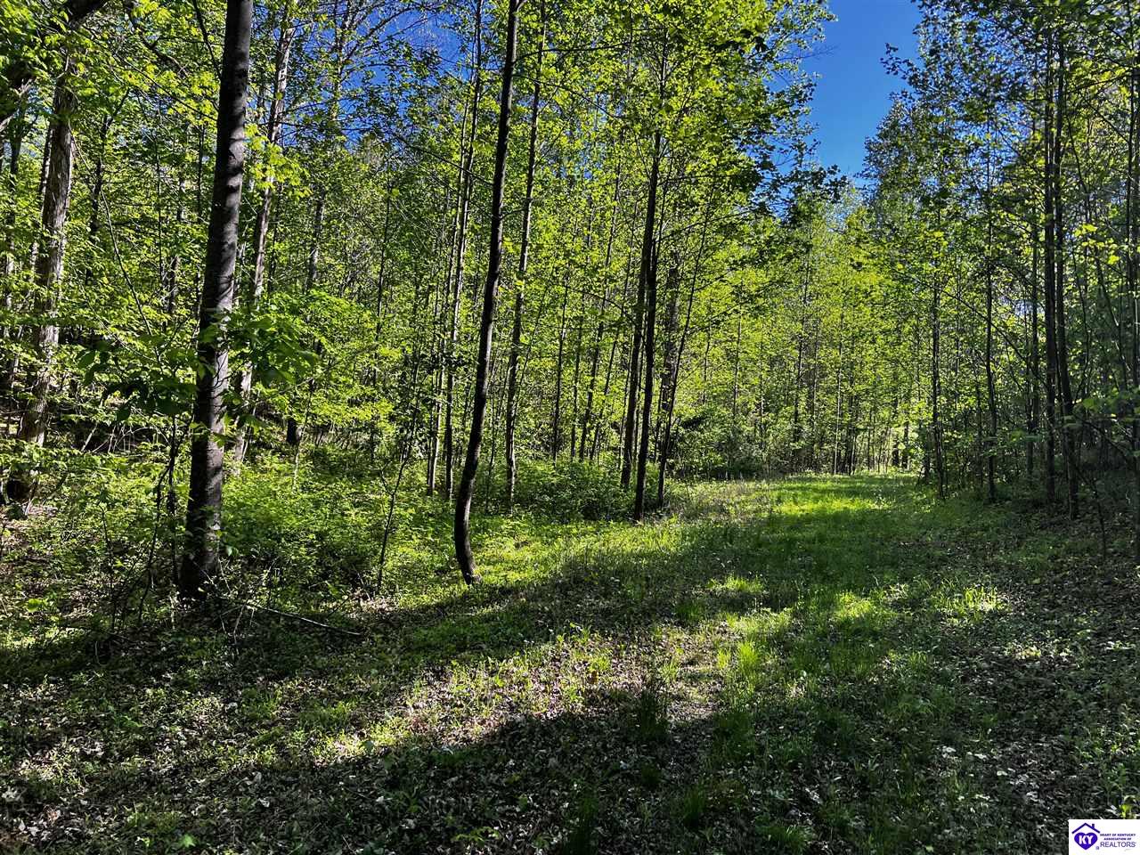 1000 Dawson Hollow N Rd Property Photo 9