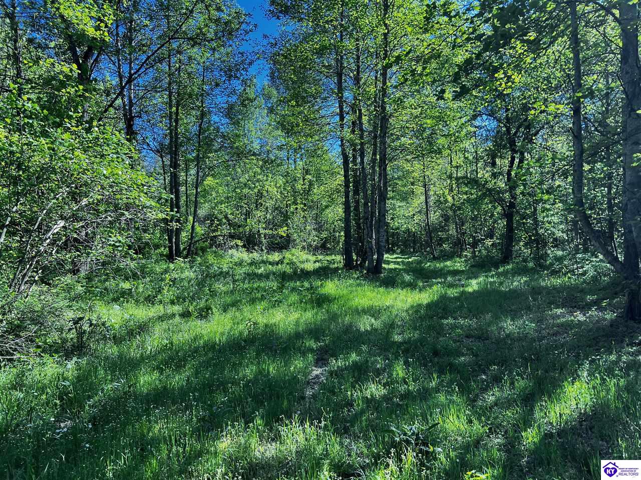 1000 Dawson Hollow N Rd Property Photo 10
