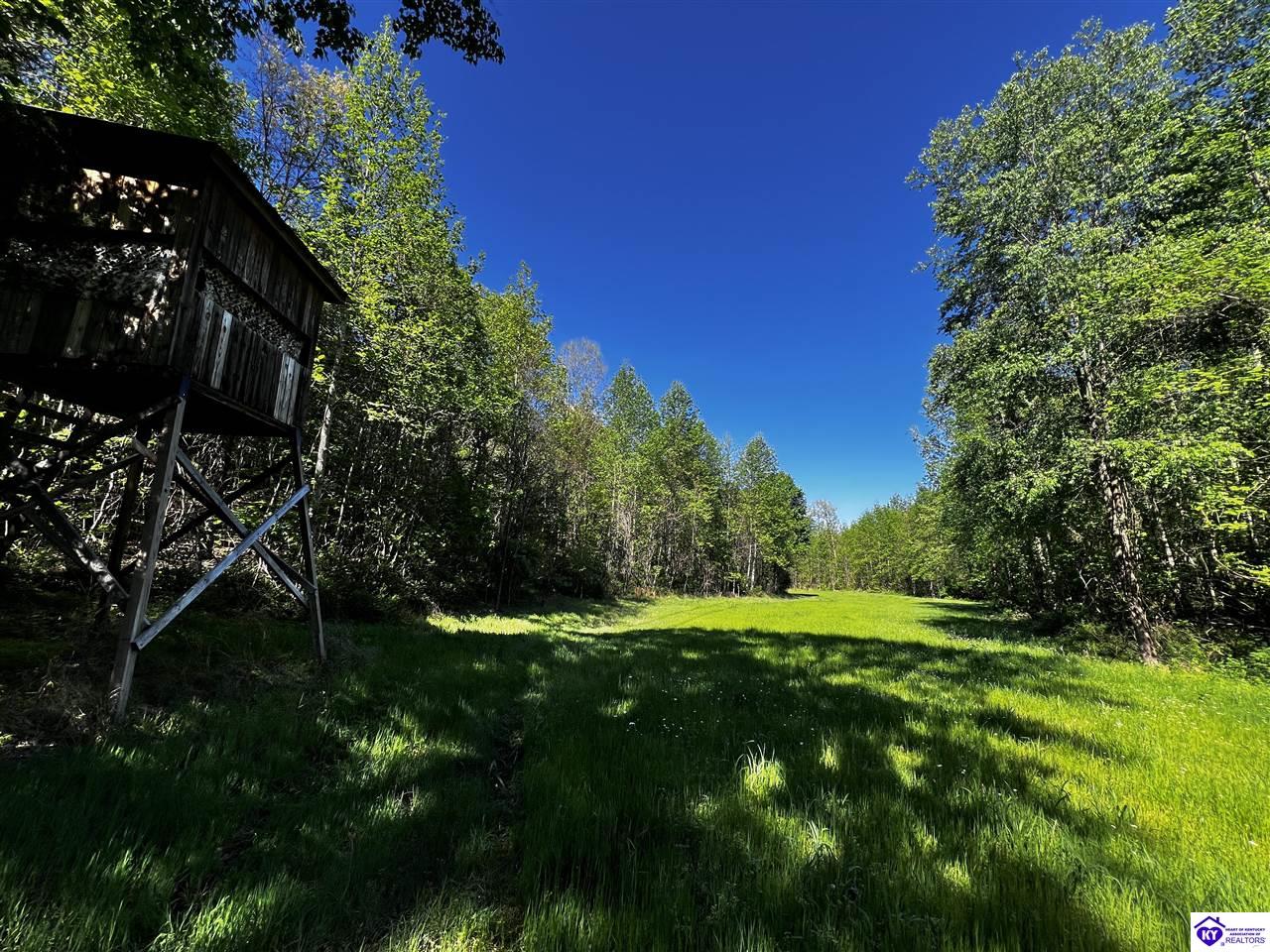 1000 Dawson Hollow N Rd Property Photo 11