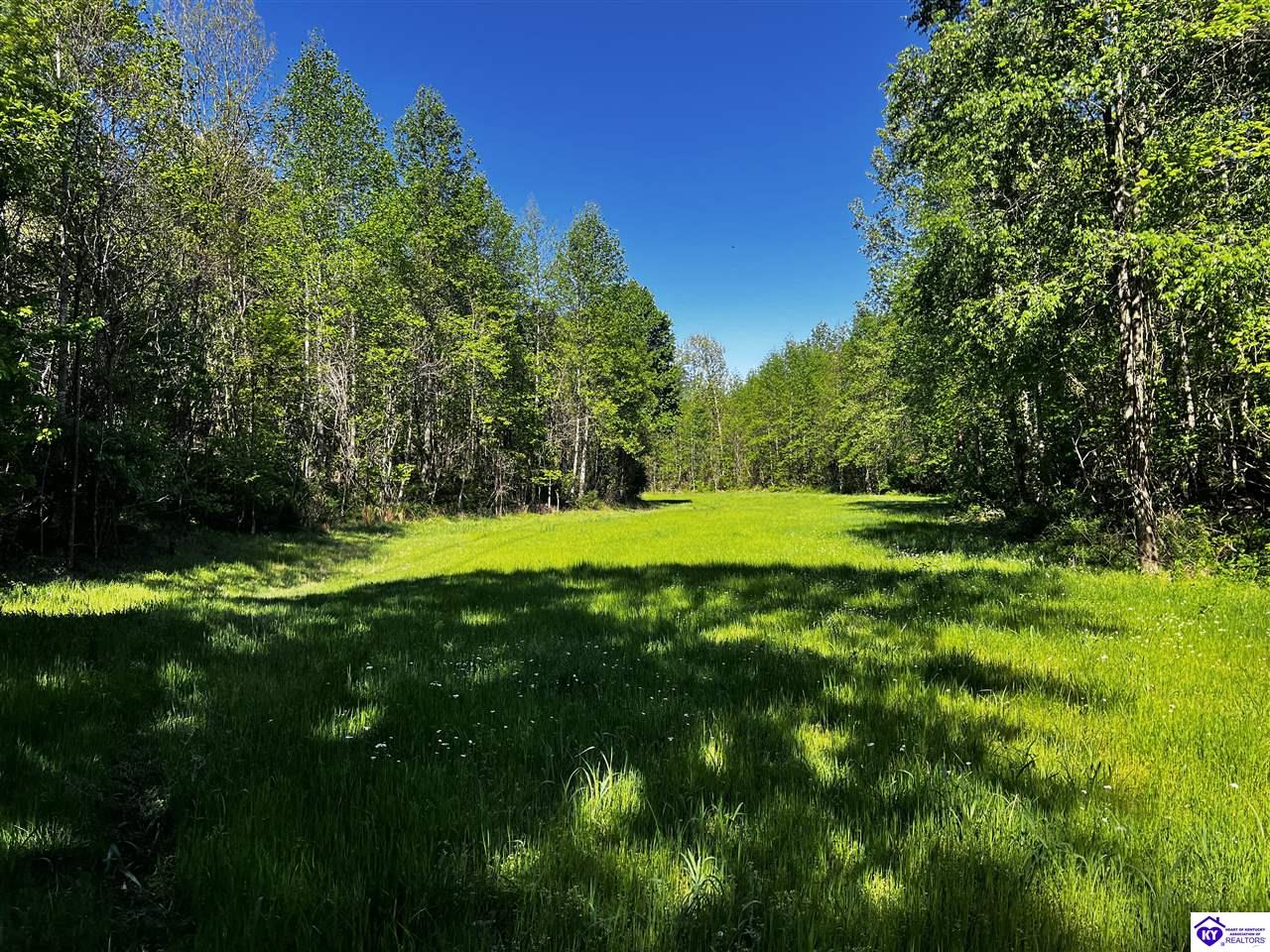 1000 Dawson Hollow N Rd Property Photo 12