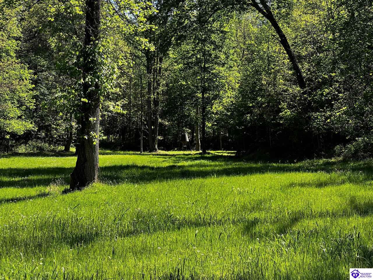 1000 Dawson Hollow N Rd Property Photo 16