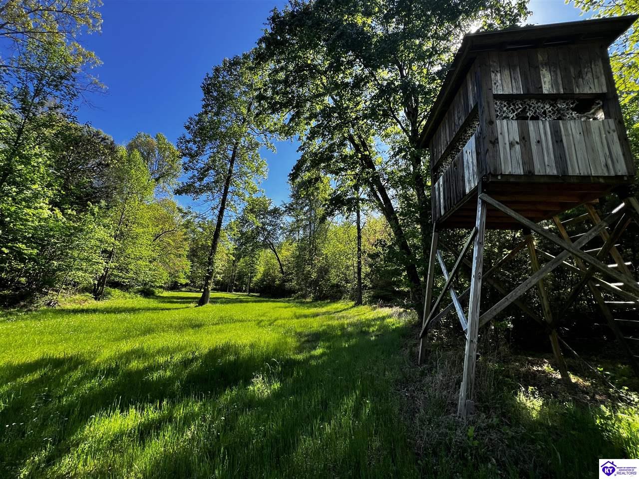 1000 Dawson Hollow N Rd Property Photo 17