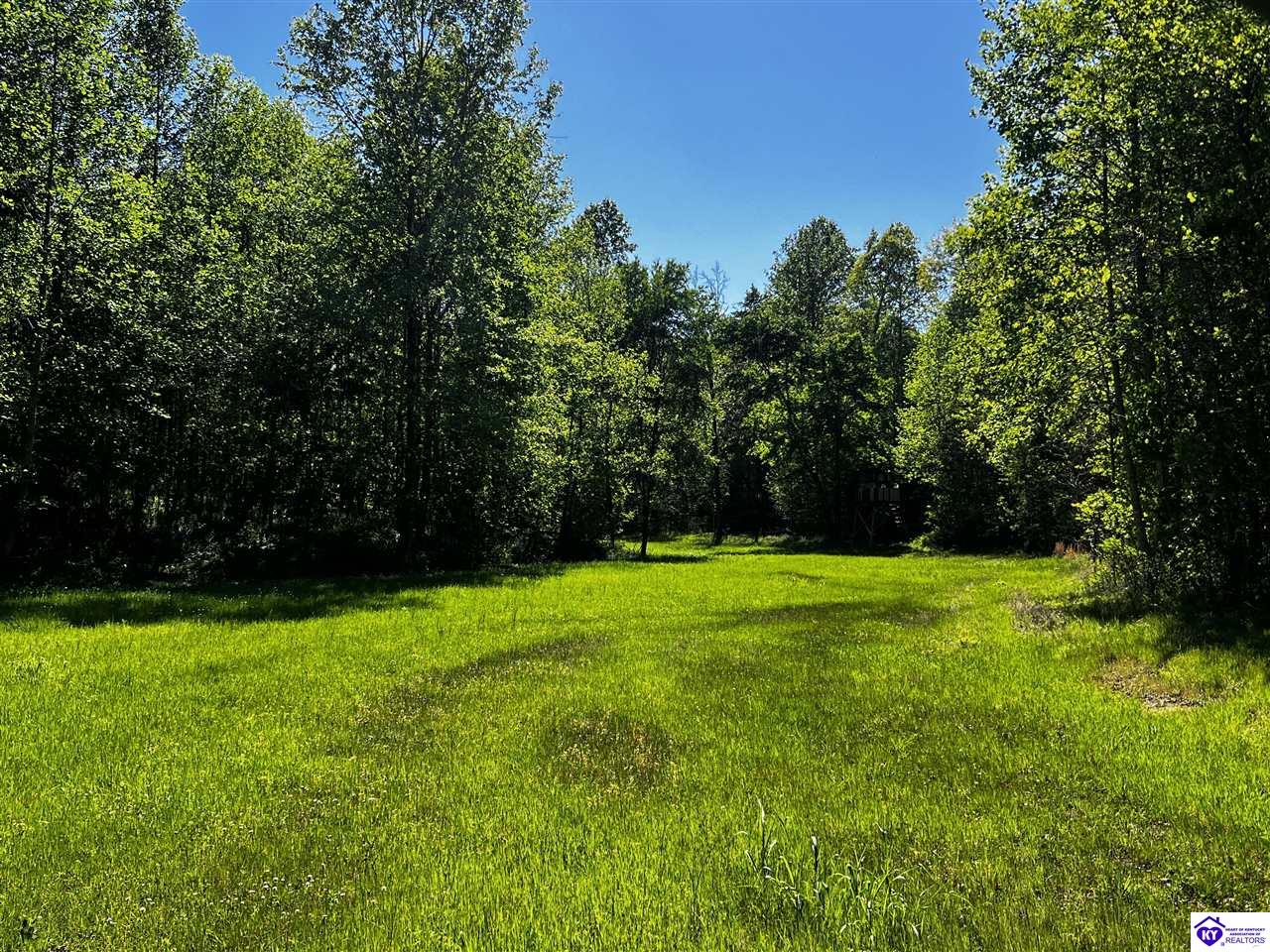 1000 Dawson Hollow N Rd Property Photo 19