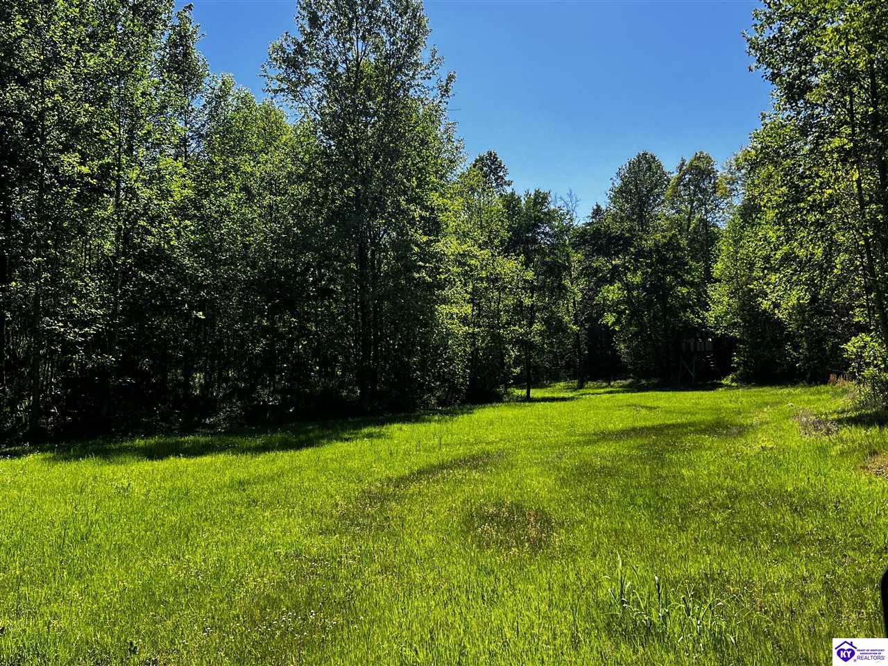 1000 Dawson Hollow N Rd Property Photo 20