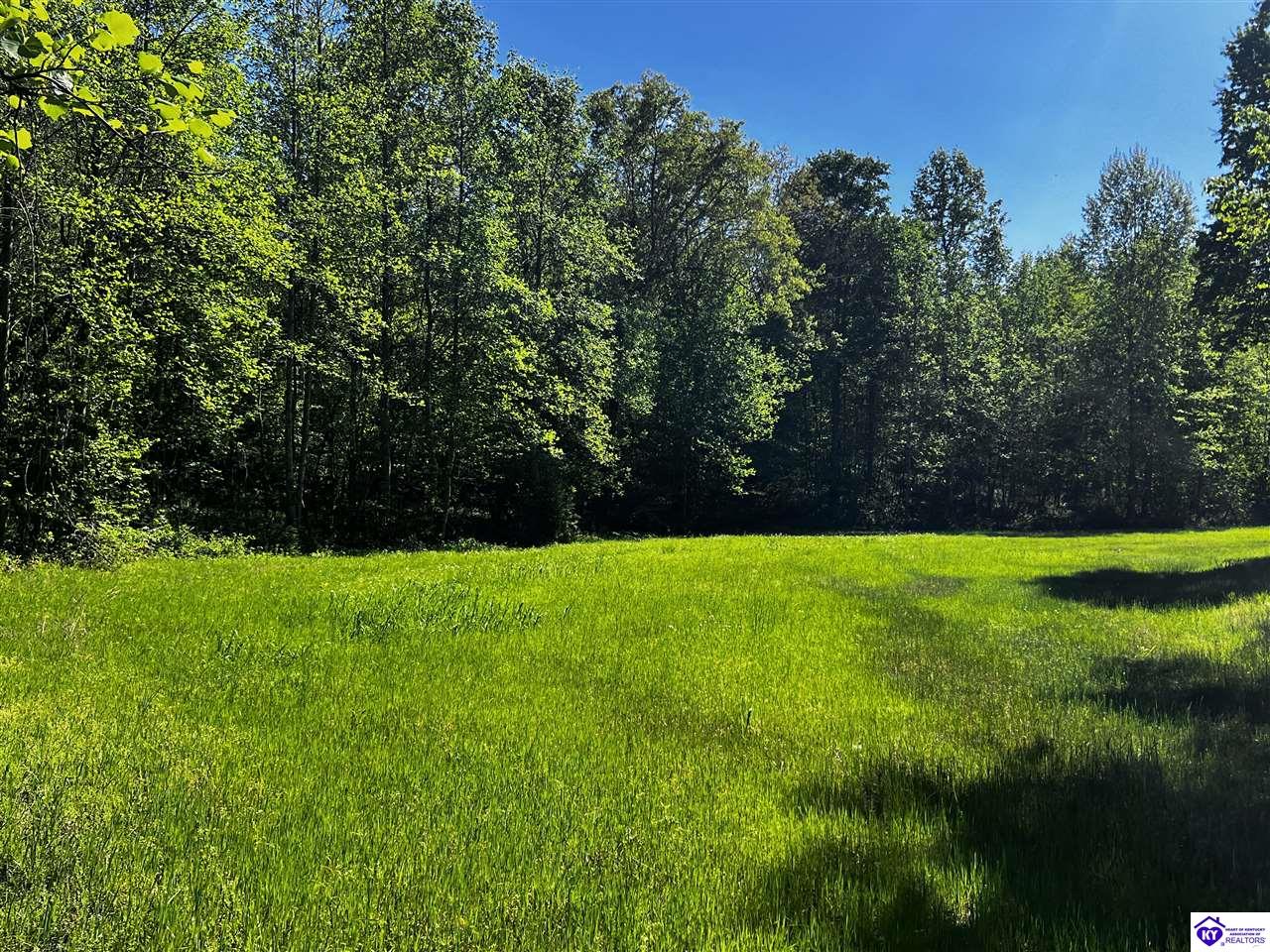 1000 Dawson Hollow N Rd Property Photo 21