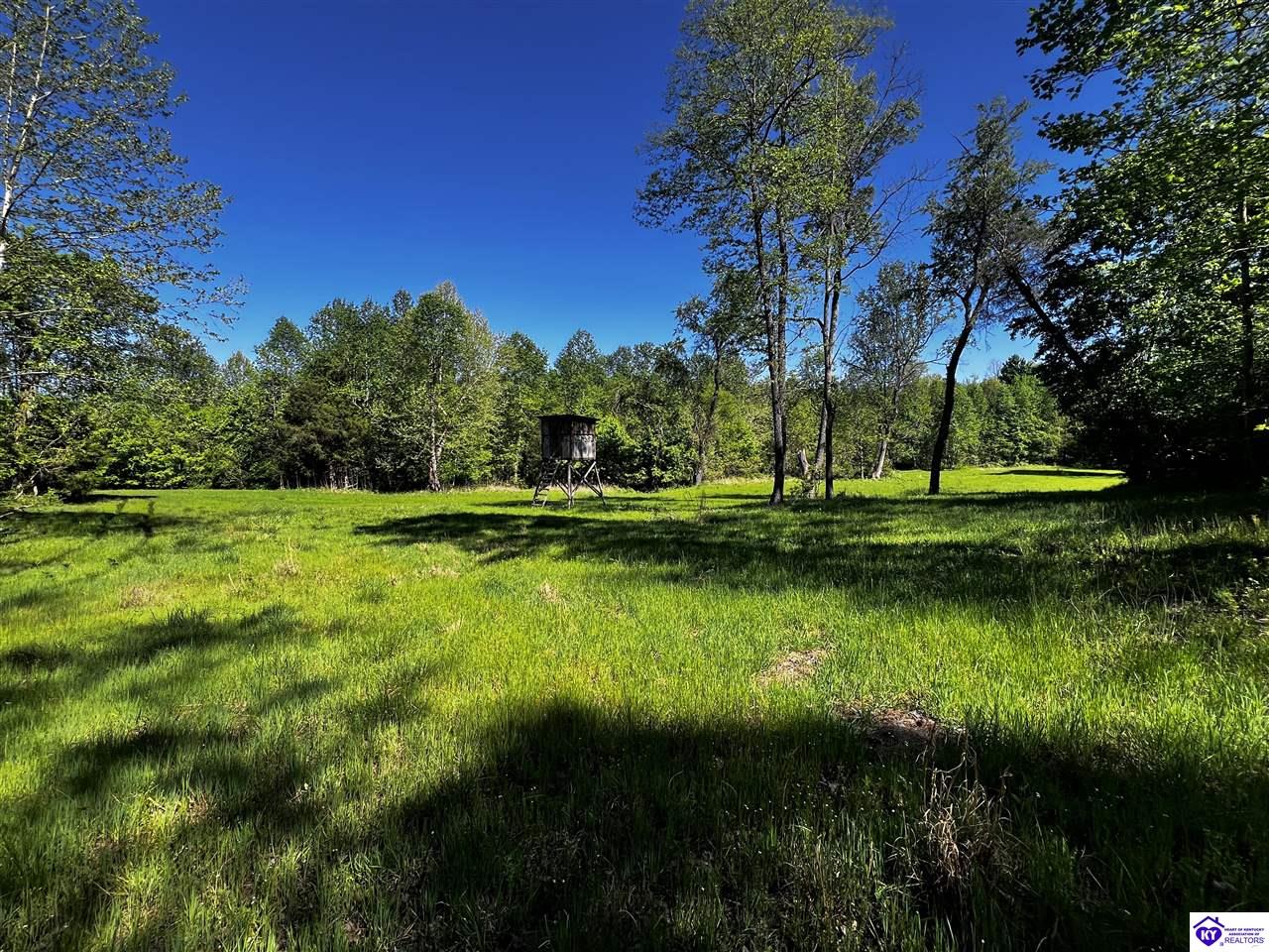 1000 Dawson Hollow N Rd Property Photo 24