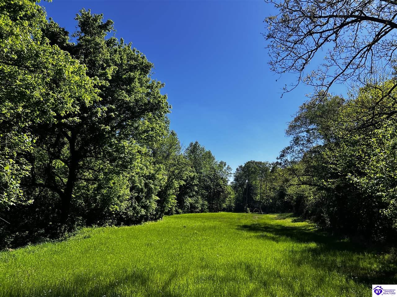 1000 Dawson Hollow N Rd Property Photo 27