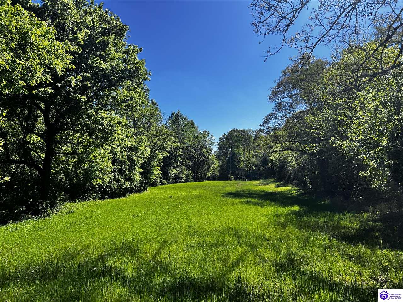 1000 Dawson Hollow N Rd Property Photo 28