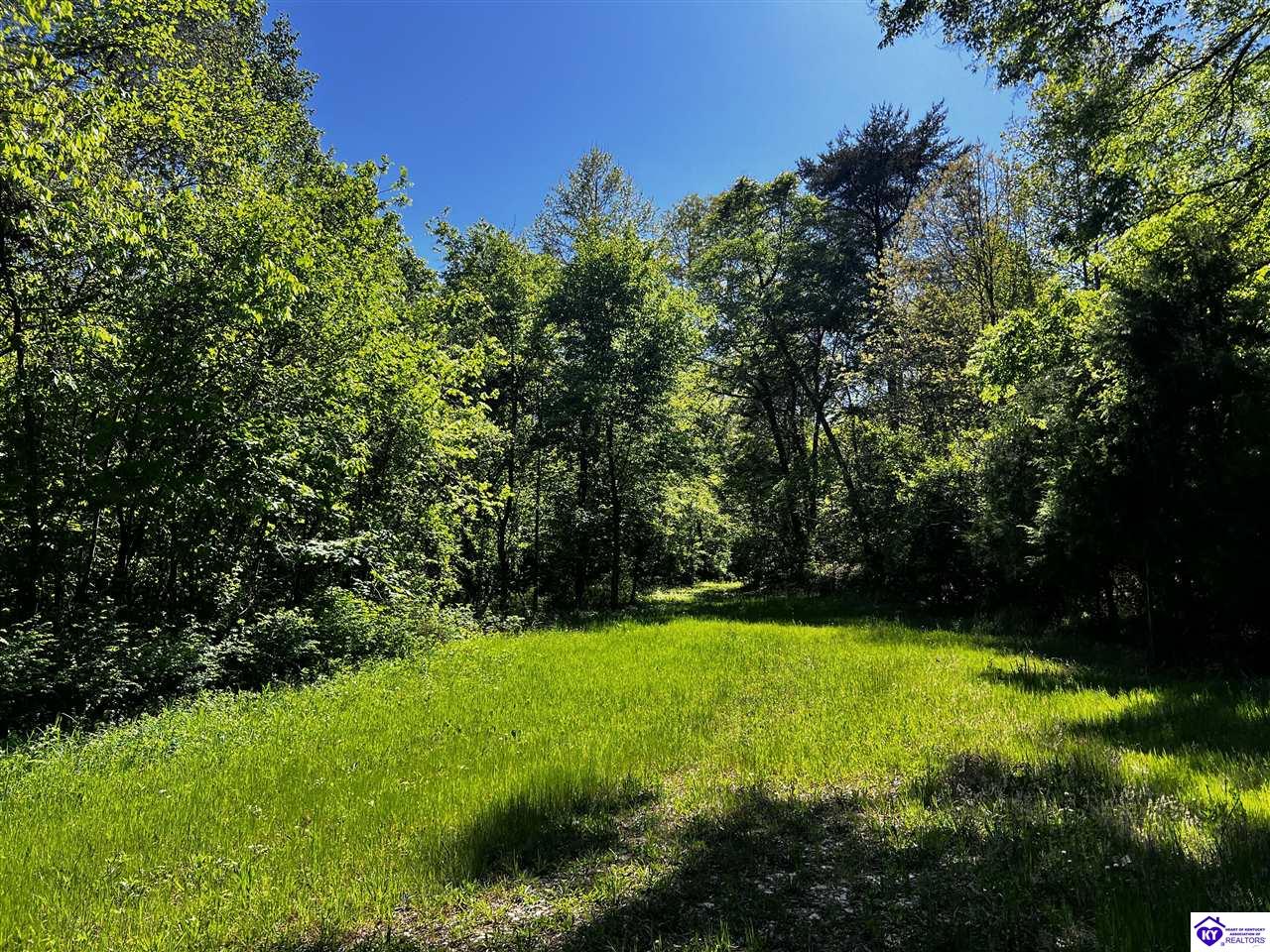 1000 Dawson Hollow N Rd Property Photo 29