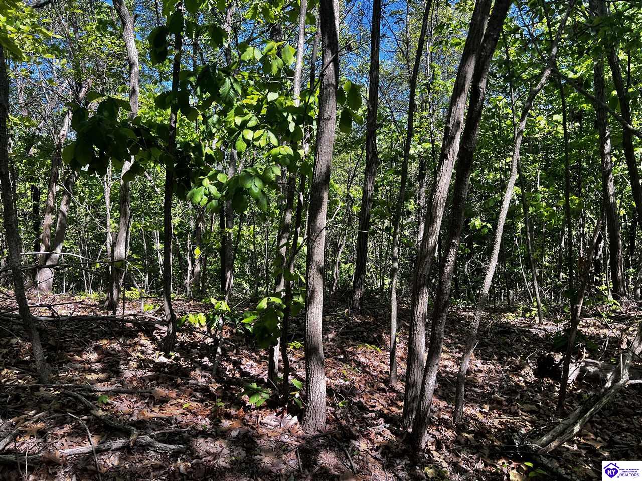 1000 Dawson Hollow N Rd Property Photo 33