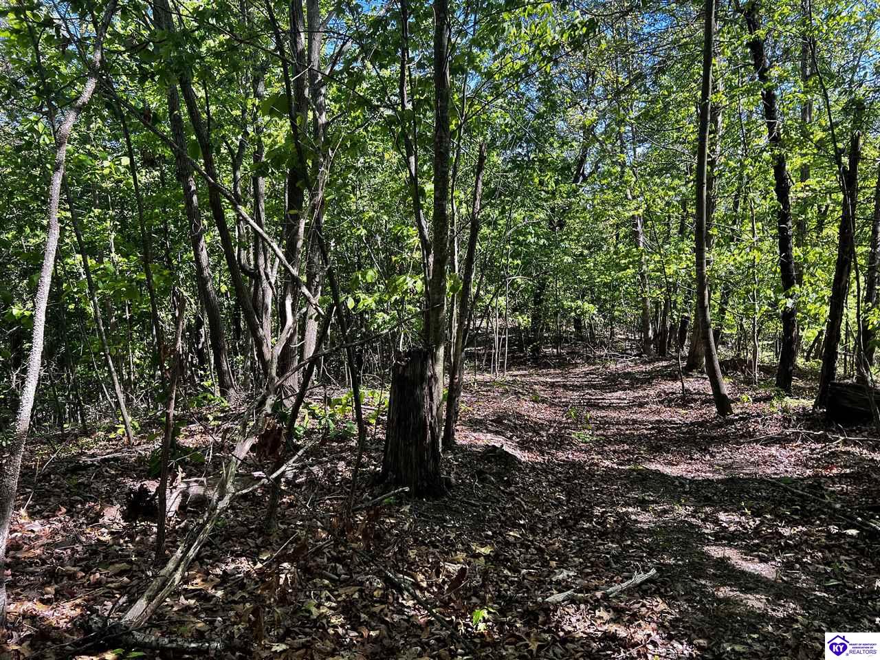 1000 Dawson Hollow N Rd Property Photo 34