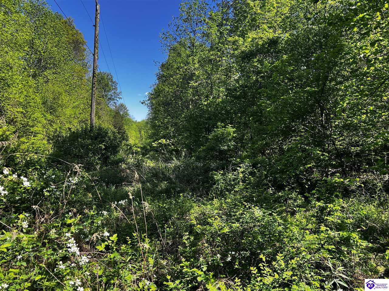 1000 Dawson Hollow N Rd Property Photo 35
