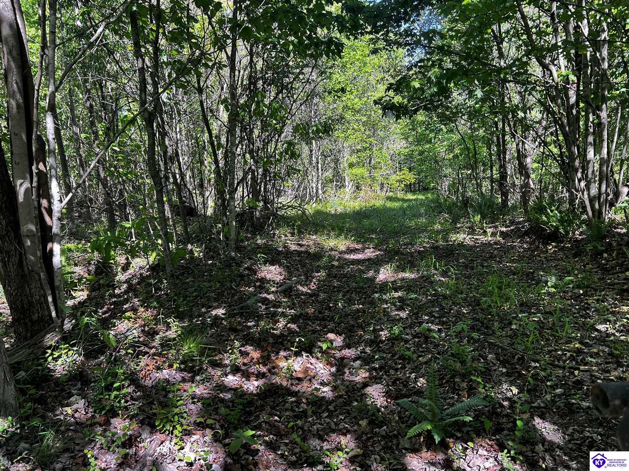 1000 Dawson Hollow N Rd Property Photo 36