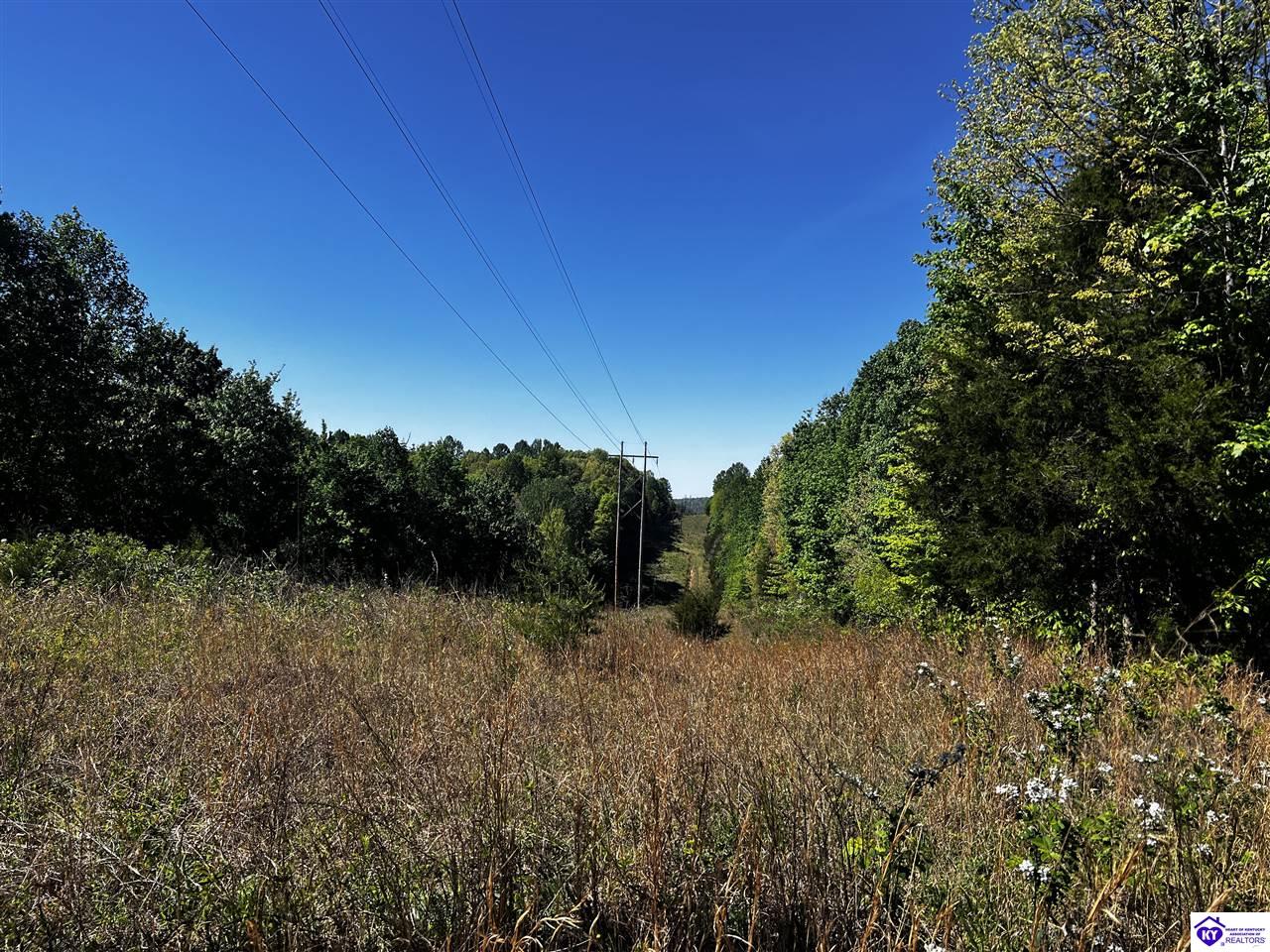 1000 Dawson Hollow N Rd Property Photo 37