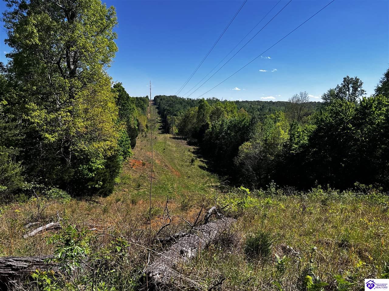 1000 Dawson Hollow N Rd Property Photo 39