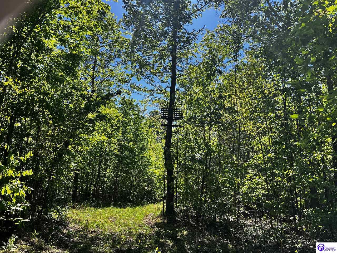 1000 Dawson Hollow N Rd Property Photo 40