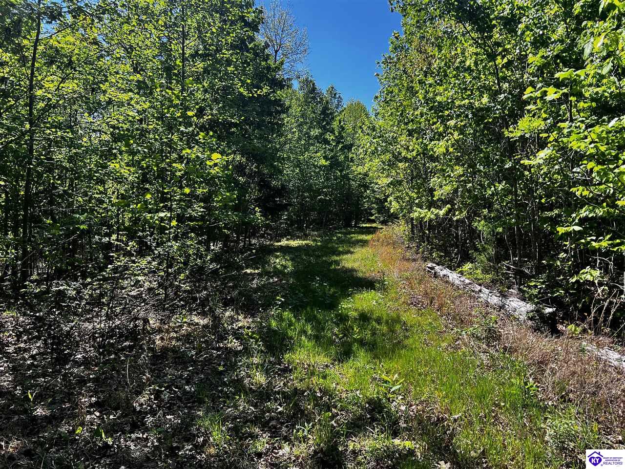 1000 Dawson Hollow N Rd Property Photo 42