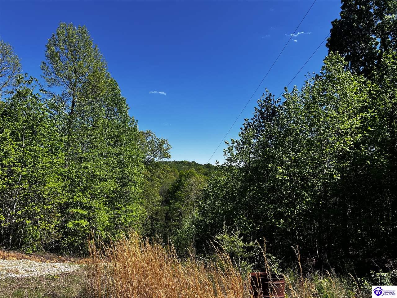 1000 Dawson Hollow N Rd Property Photo 51