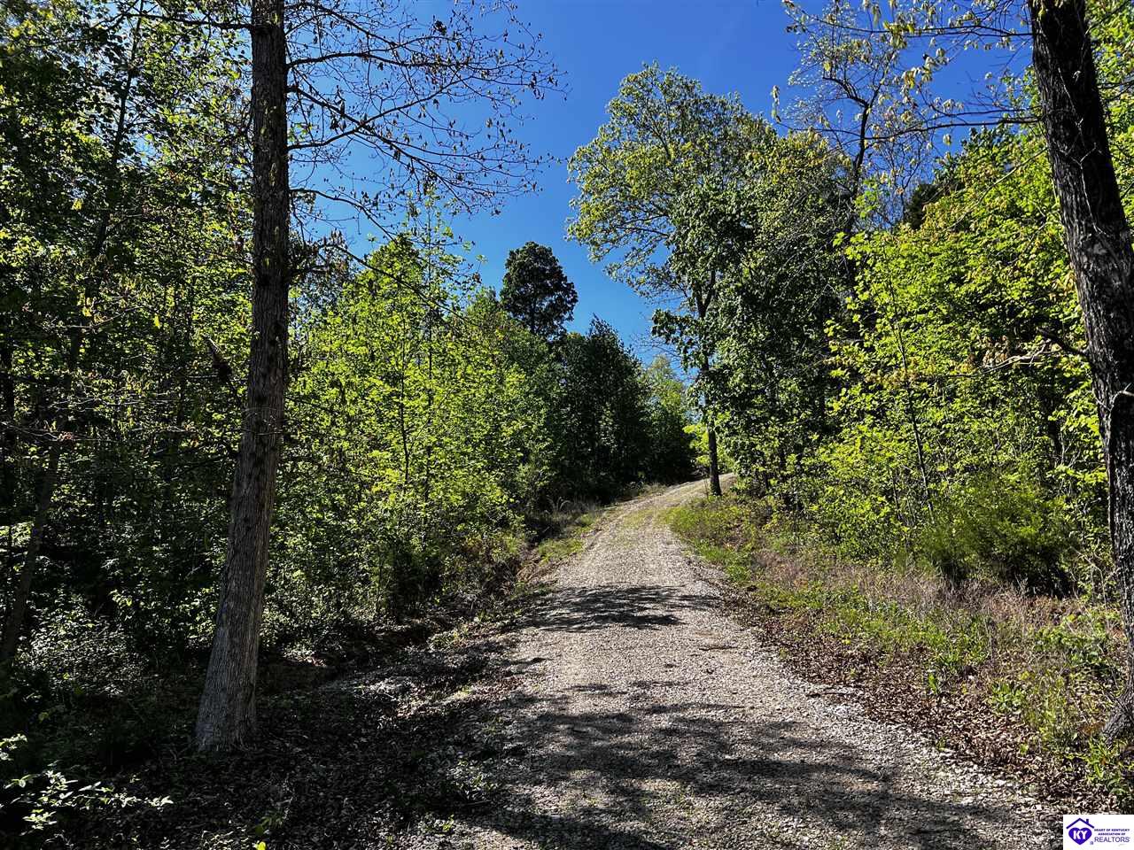 1000 Dawson Hollow N Rd Property Photo 54