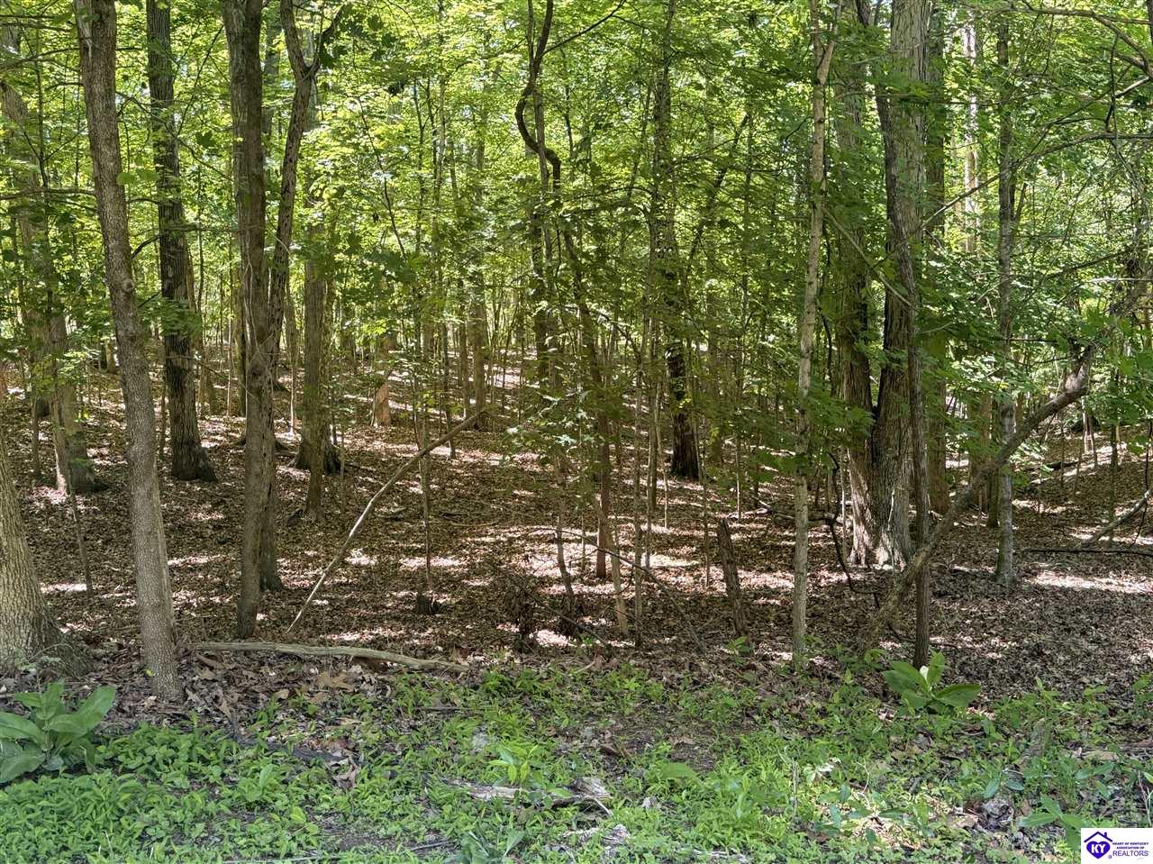 Lot 569 Raspberry Court Property Photo 2
