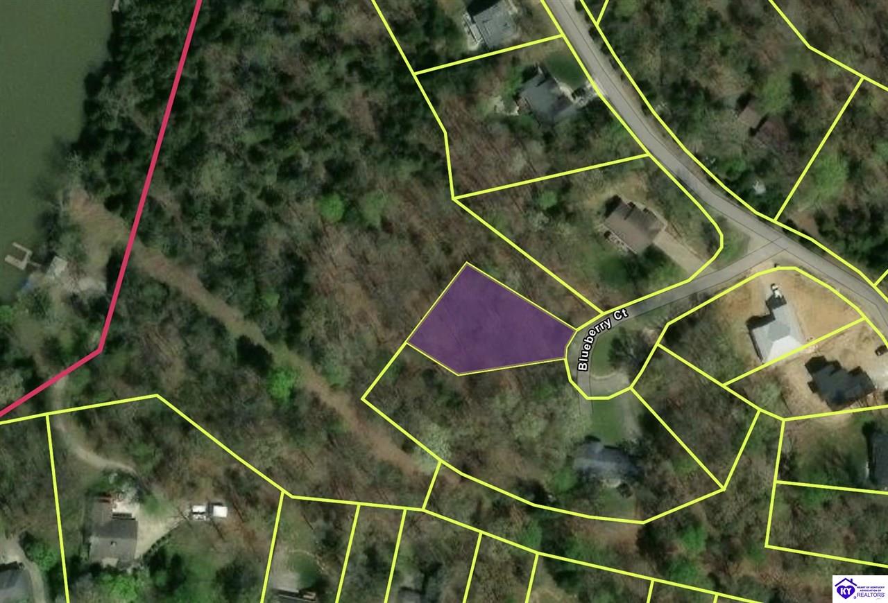 Lot 569 Raspberry Court Property Photo 3