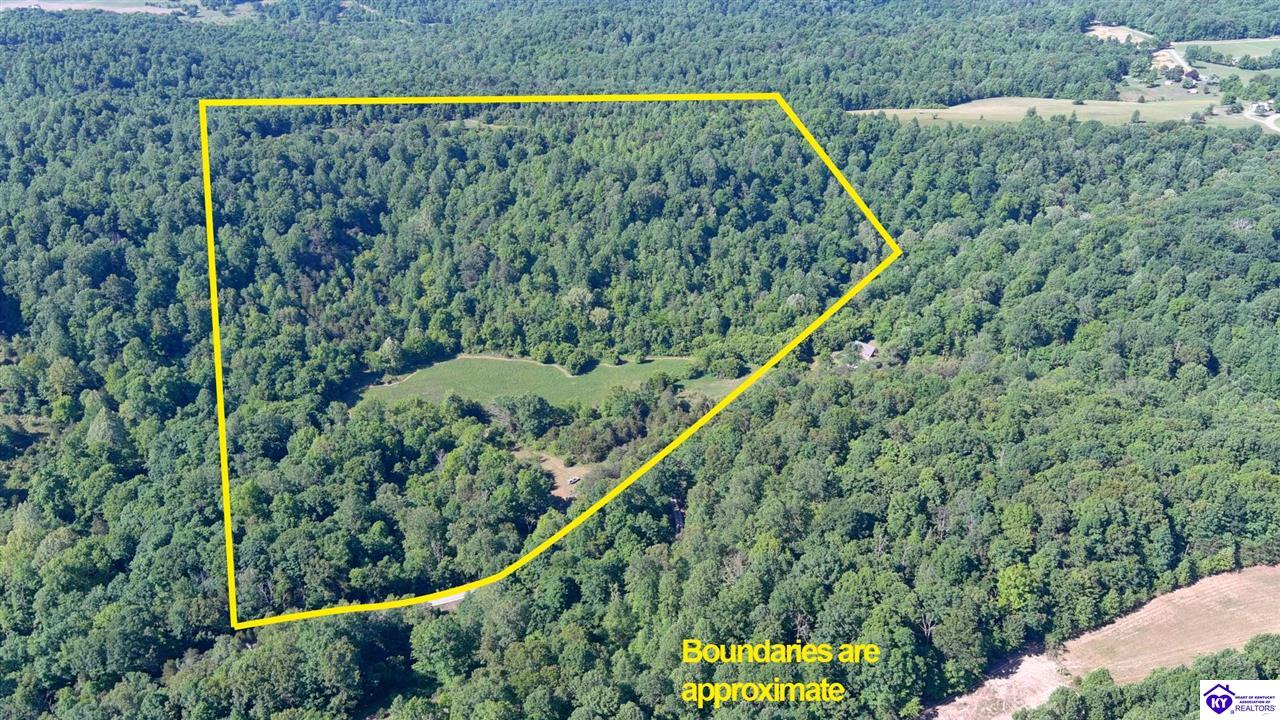 2327 Wright Lane Property Photo 2