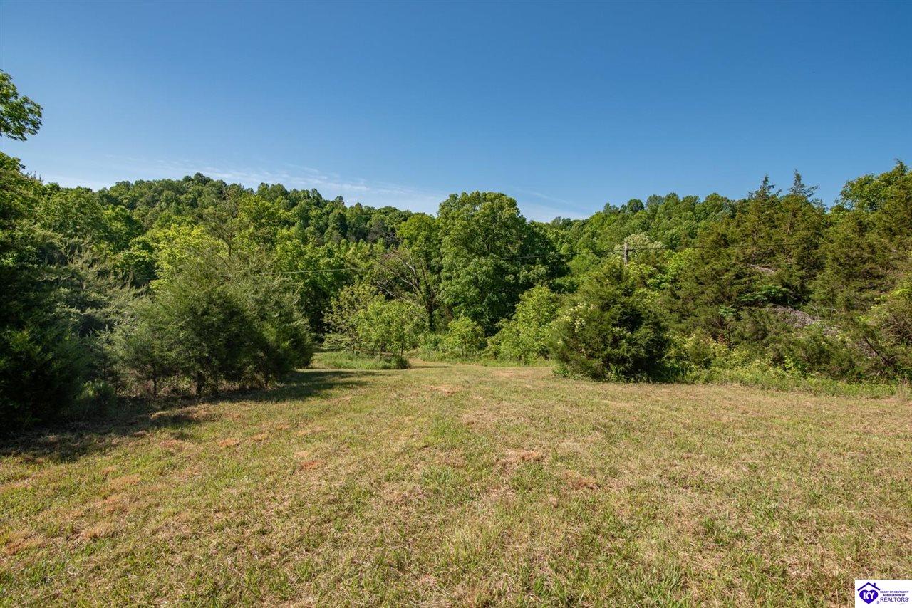 2327 Wright Lane Property Photo 14