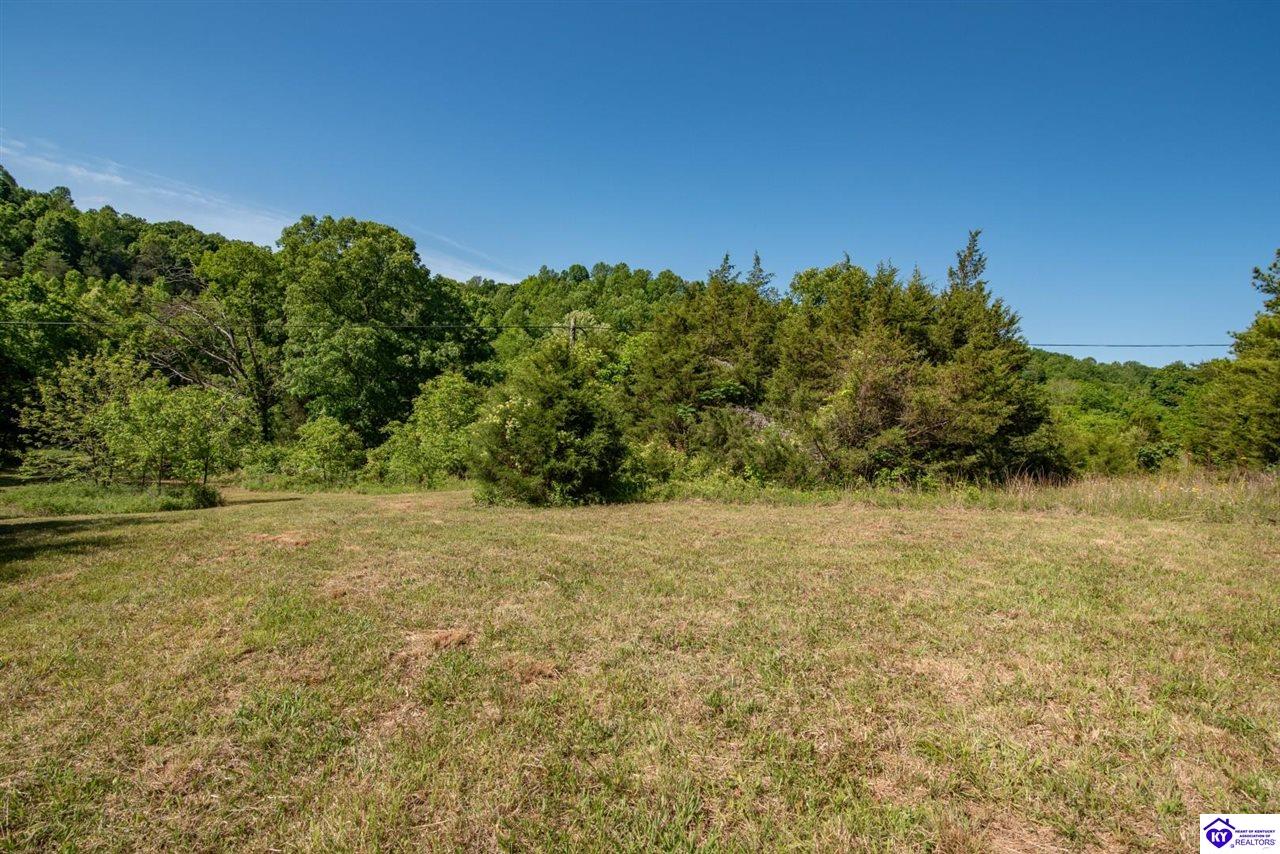 2327 Wright Lane Property Photo 15