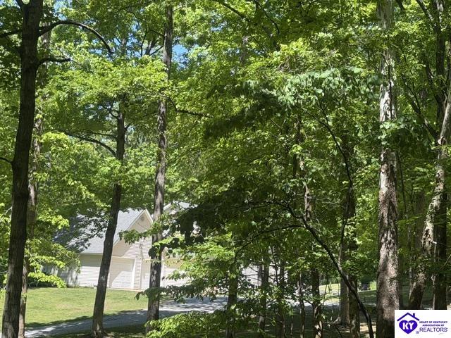 112 Cliff Top Drive Property Photo 8