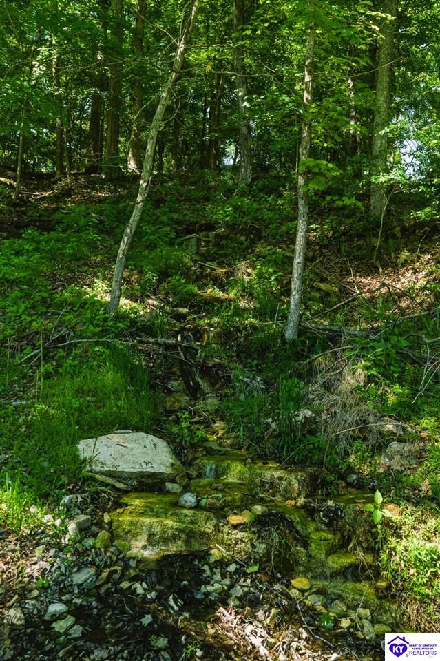 432 Long Needle Road Property Photo 19