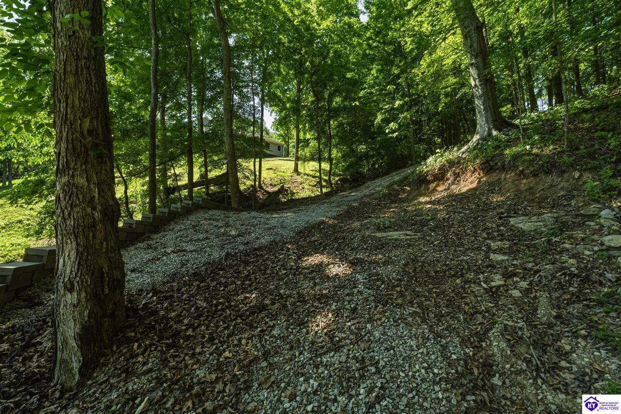 432 Long Needle Road Property Photo 20