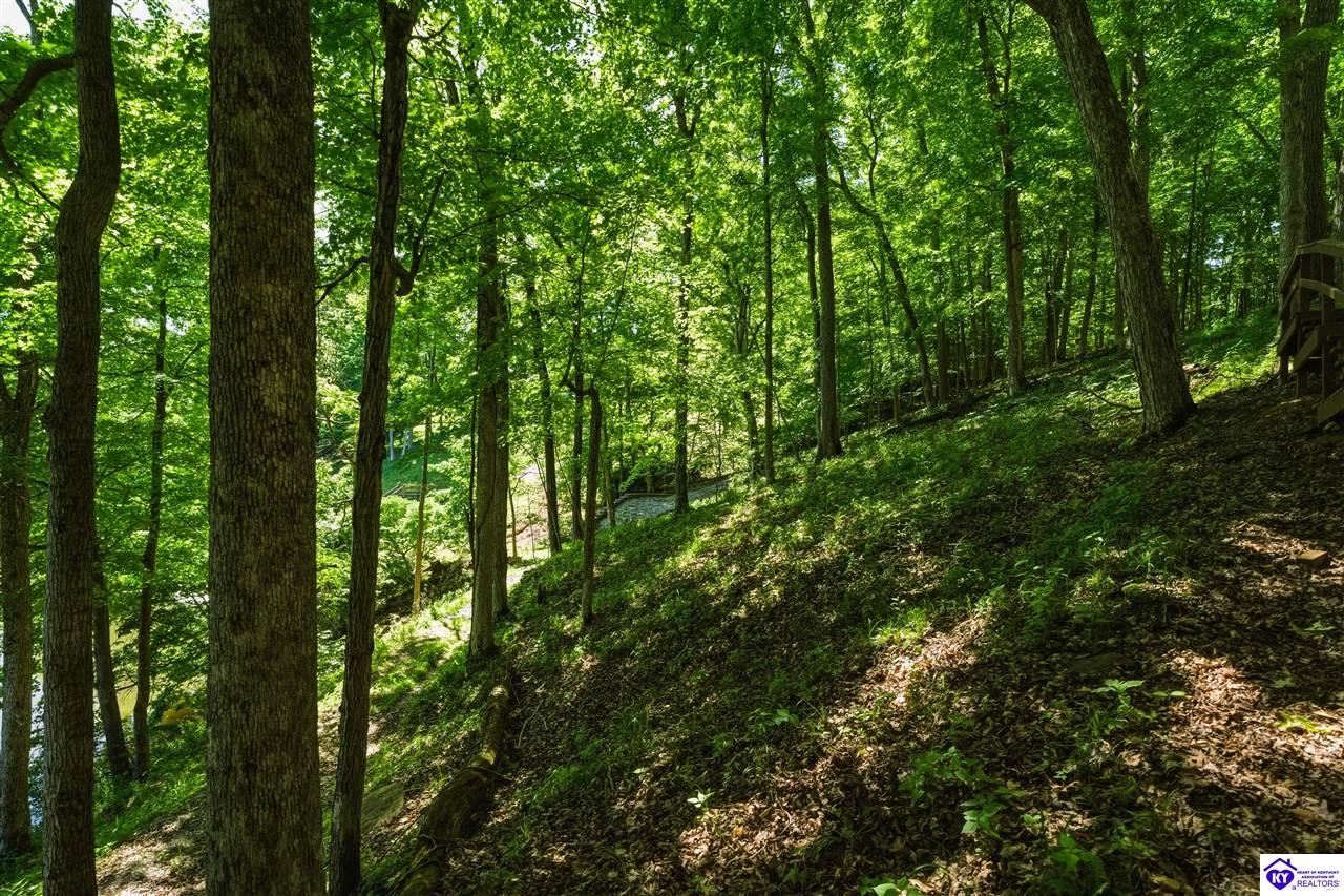 432 Long Needle Road Property Photo 25